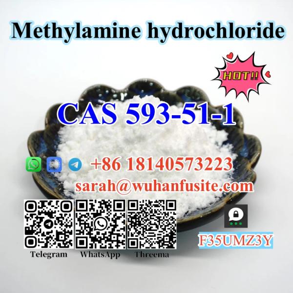 Factory Supply CAS 593511 BK4 Methylamine hydrochloride with High Purity